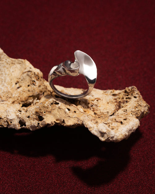 Anillo Delirio Dorado