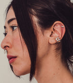 Piercing de pescado